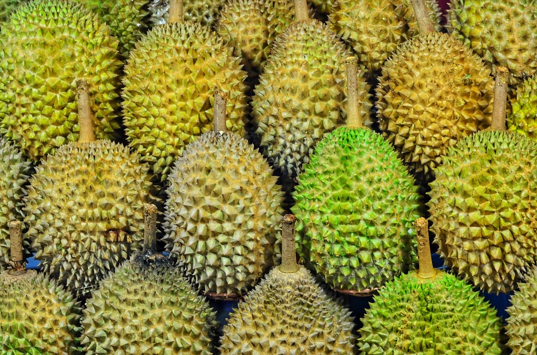 Jenis Durian Unggul yang Enak dan Populer