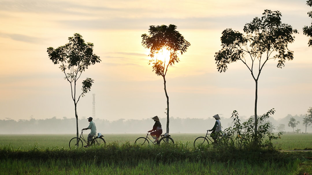Cara Menerapkan Nilai Sumpah Pemuda di Era Modern
